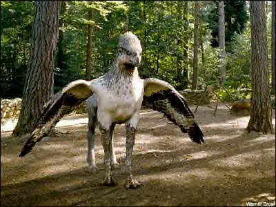 Assignment for the Week of June 1st Buckbeak