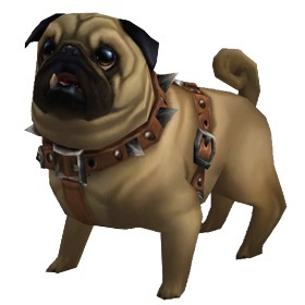 perky_pug