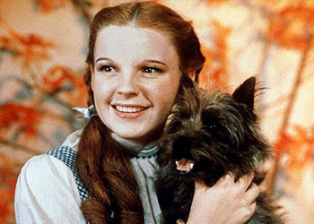 dorothy