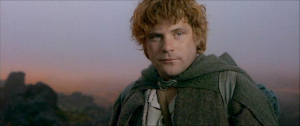 Samwise-Gamgee-samwise-gamgee-12089158-960-404