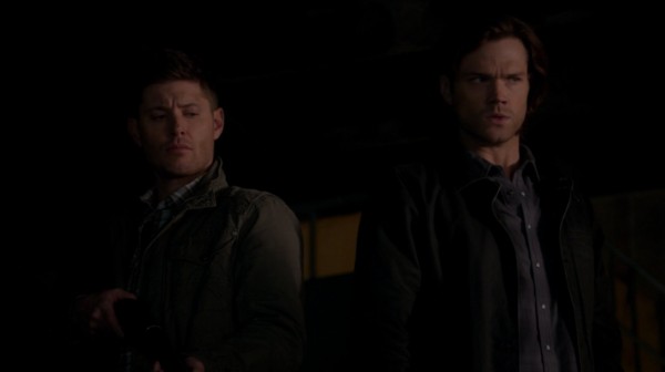 samdeanbloodlines