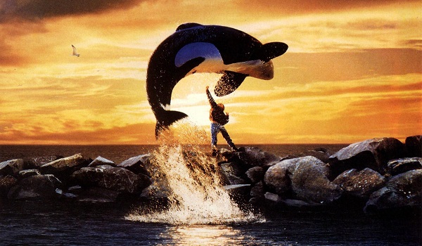 top-10-90s-kids-movie-dreams-free-willy