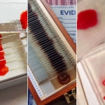 Fandomestic: 5 Killer Dexter-Inspired Blood Slide Crafts