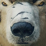 Contest: Win His Dark Materials: The Complete First Season on Blu-ray and Digital!