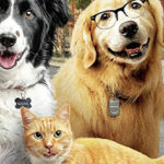 Contest: Win Cats & Dogs 3: Paws Unite on Blu-ray, DVD, and Digital!
