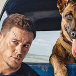 Contest: Win Dog on Blu-ray, DVD, and Digital!
