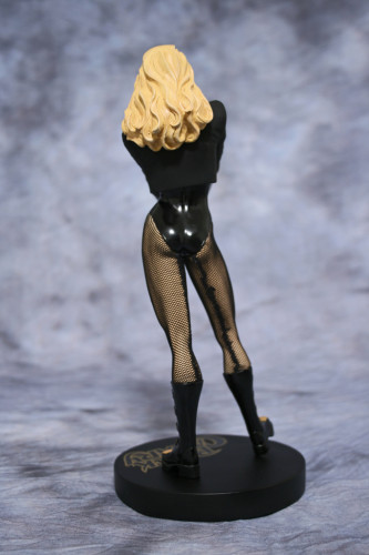 Cover Girls of DC Black Canary Statue 003