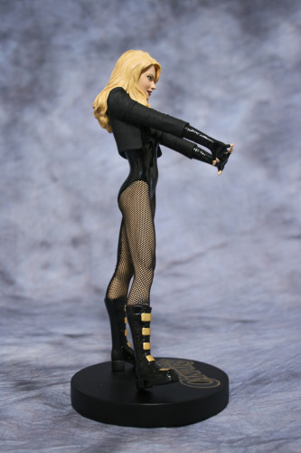 Cover Girls of DC Black Canary Statue 004