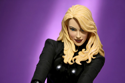 Cover Girls of DC Black Canary Statue 005
