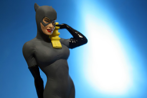Women of DC Series 2 Catwoman Bust 009